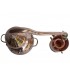 Alembic Copper - Unions Revitadas 15 Litres Alembic Copper - Unions Revitadas 15 Litres